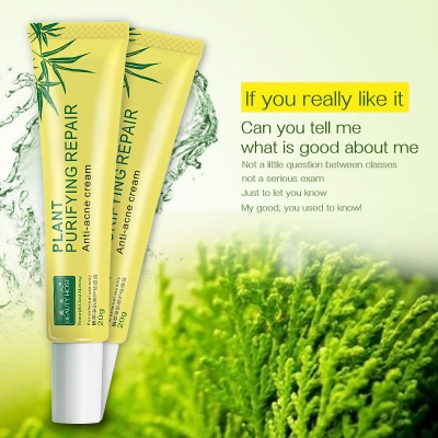 Beauty Host plant purifying repair anti-acne cream